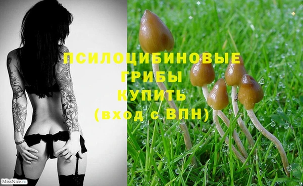 бошки Кинешма