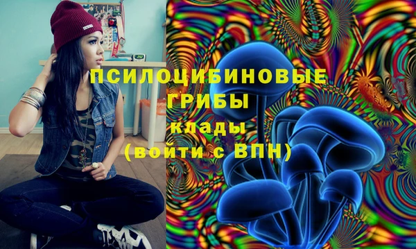 СК Киреевск
