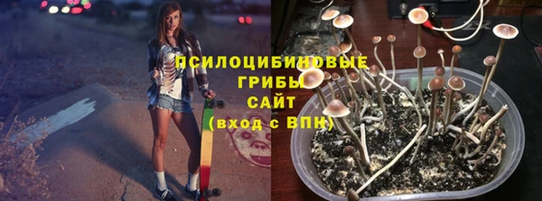 СК Киреевск