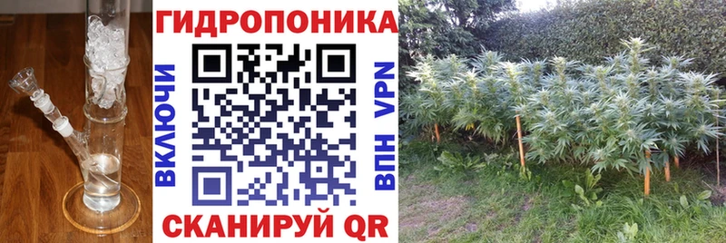 МАРИХУАНА сатива  Купить  Озёрск 